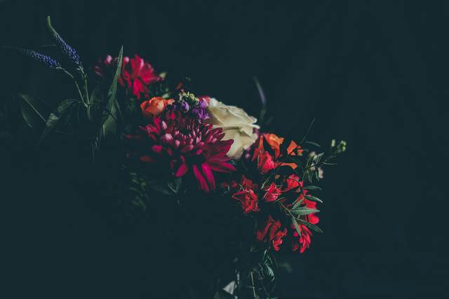 Boeket met rode, oranje en paarse bloemen tegen een donkere achtergrond